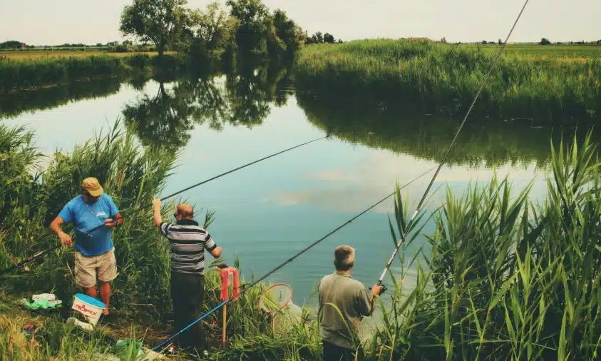 Місячний календар риболовлі на липень 2025: коли і де чекати доброго клювання