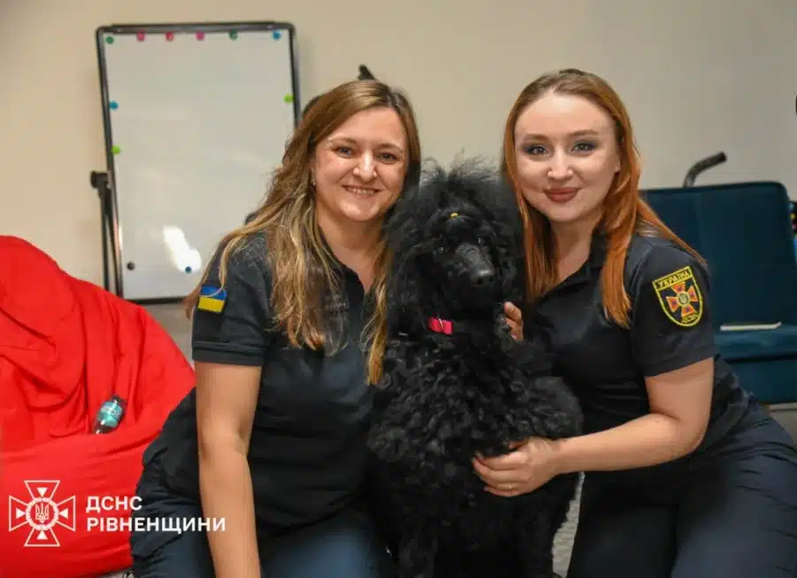 DOCADOG у Рівному: 1400 людей отримали допомогу через каністерапію - фото 3