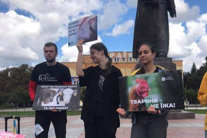 Веган на війні: історія Костянтина Юзвюка, який не зрадив принципам навіть під обстрілами - фото 2