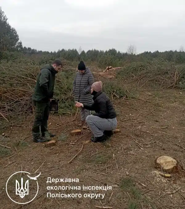 Костопільську міськраду зобов’язали сплатити майже 5 мільйонів гривень за незаконну вирубку лісу - фото 1