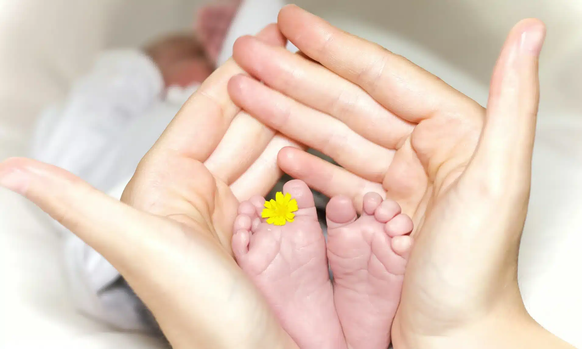 У Рівному стартує липнева “Школа відповідального батьківства”: безкоштовні заняття для майбутніх мам і татусів