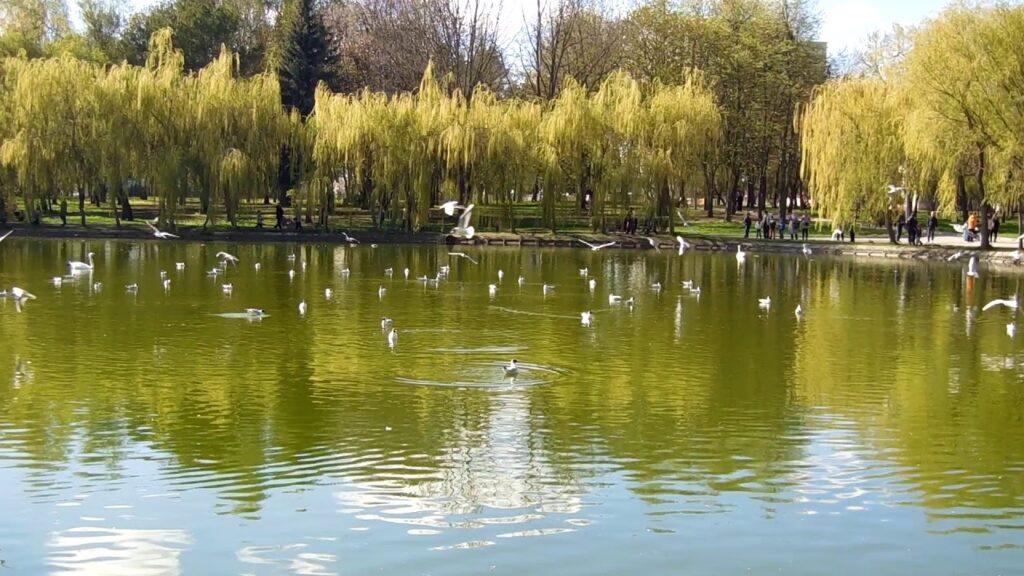 Не обов’язково далеко: куди їхати за емоціями - фото 4