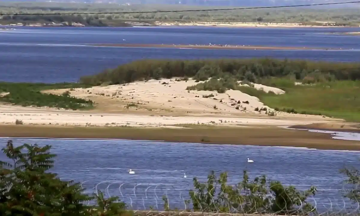 Червонокнижні пелікани оселилися на місці колишнього Каховського водосховища
