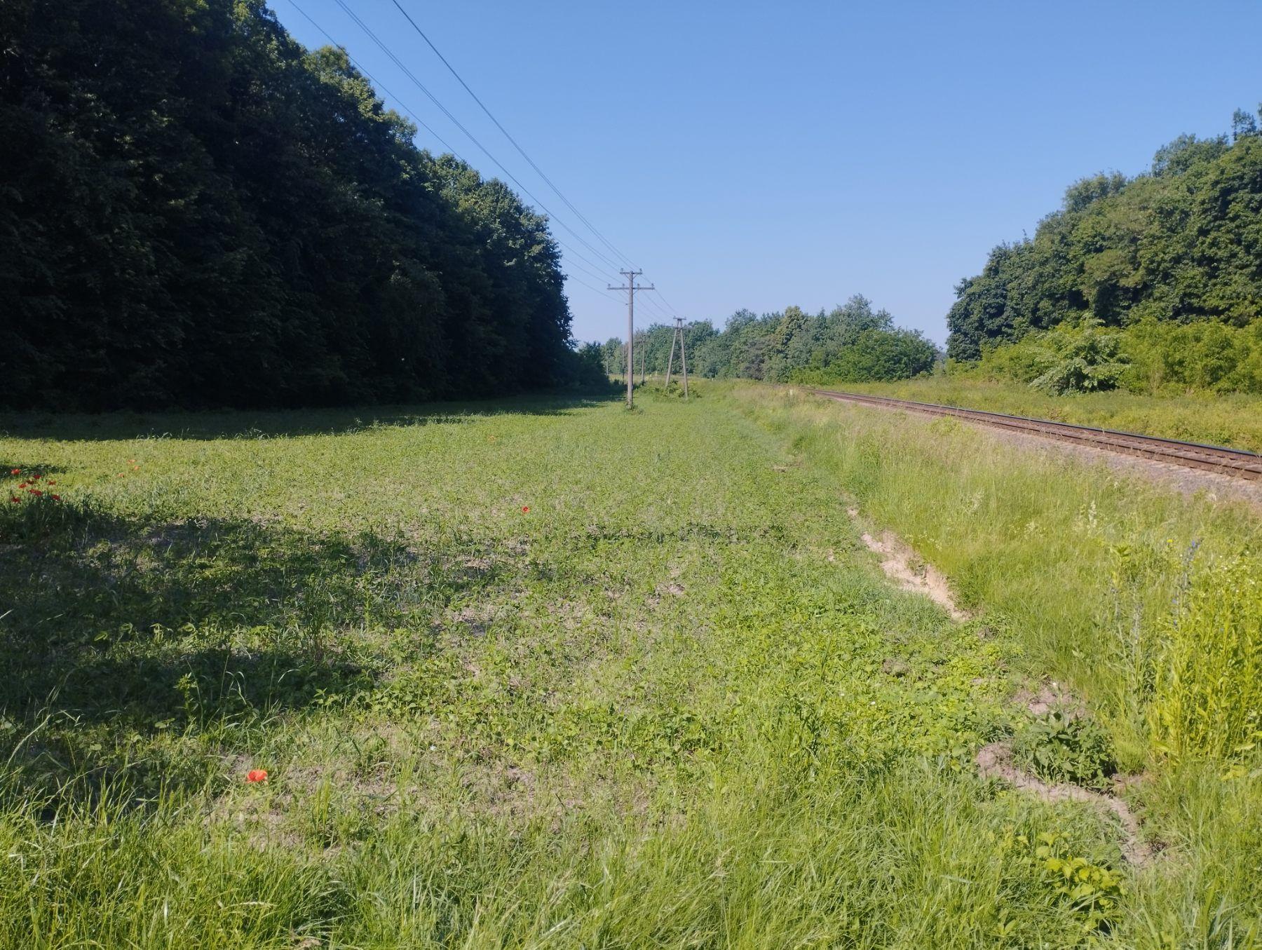 «Укрзалізниця» повідомила про новий випадок самовільного захоплення землі на Рівненщині