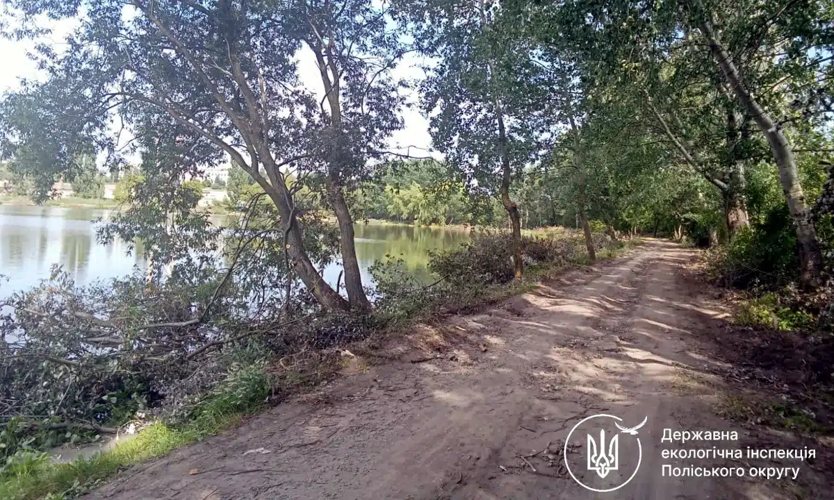 Житель Здолбунова має відшкодувати майже 8 тис. грн за знищення зелених насаджень