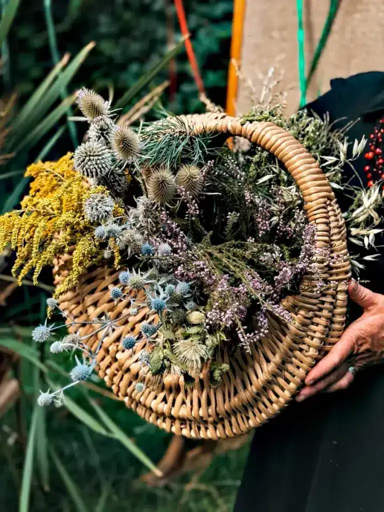 У Рівному розповіли про цілющу силу трав у народній культурі 🌿 - фото 2