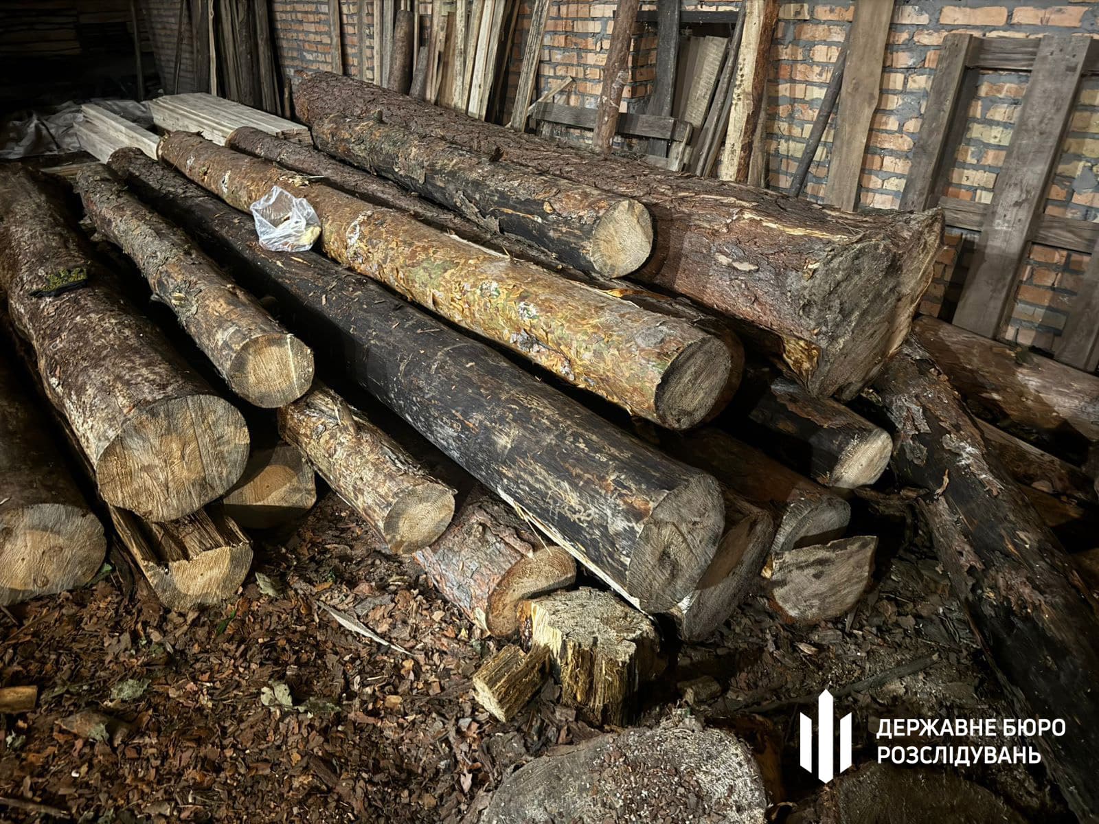 На Рівненщині ДБР затримало лісника та спільників за незаконну вирубку лісу на 1 млн грн