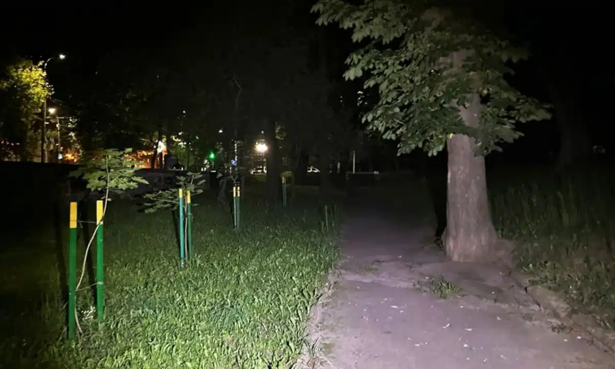 У Рівному затримали чоловіка, який напав на жінку, душив її та викрав сумку