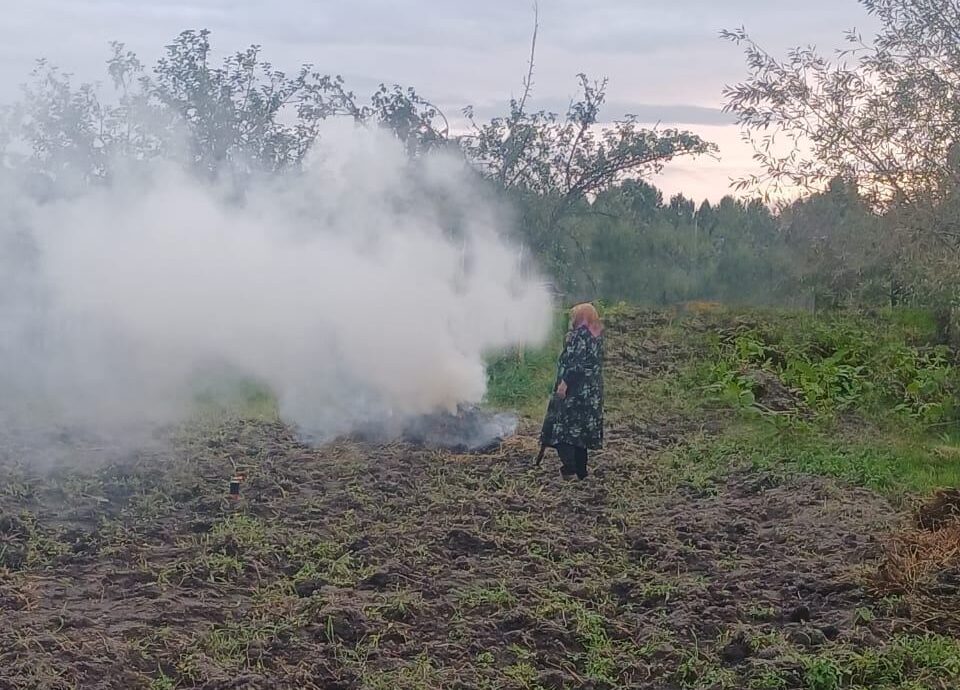 Штраф за спалювання сухої рослинності у Вараському районі