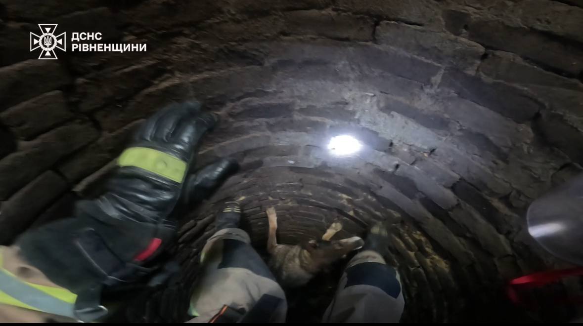 Пес із Жорнова дивом урятований з 8-метрової криниці