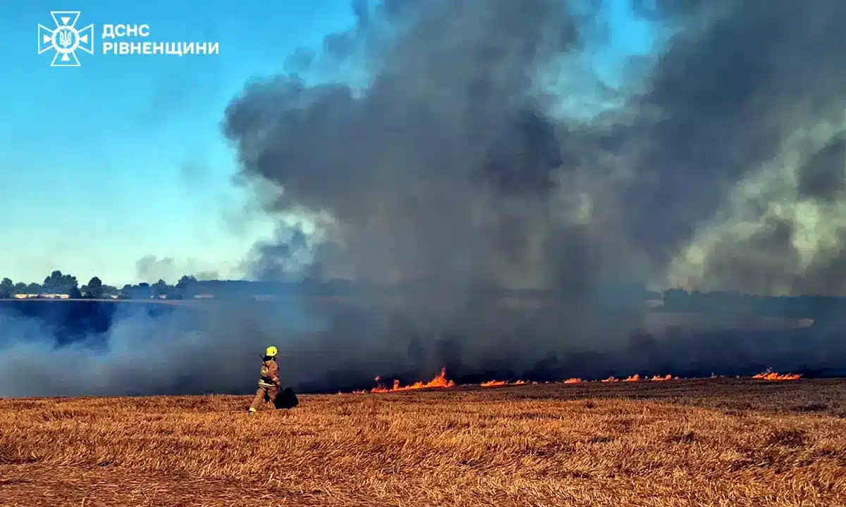 На Здолбунівщині рятувальники загасили пожежу стерні на площі майже 3 гектари