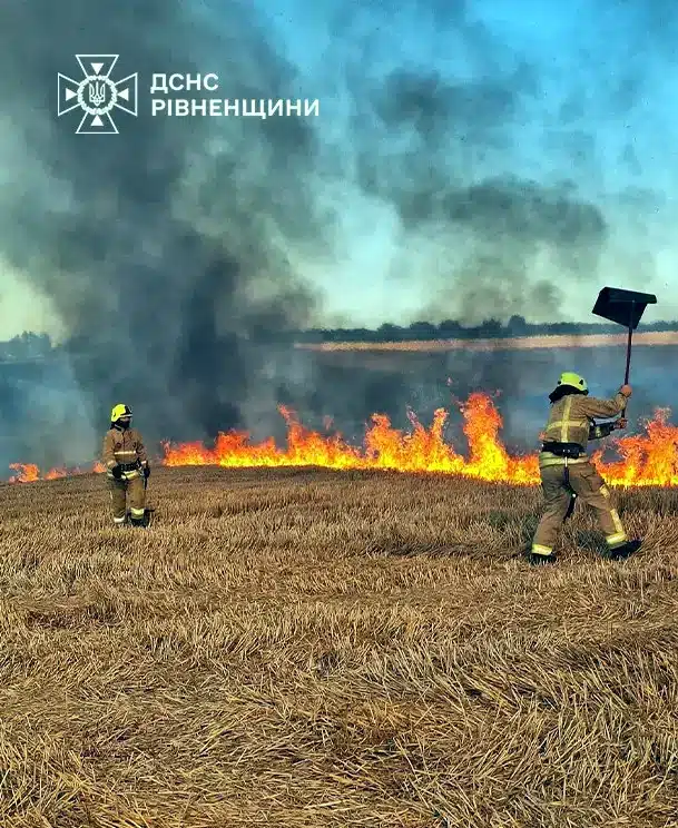 На Здолбунівщині рятувальники загасили пожежу стерні на площі майже 3 гектари - фото 2