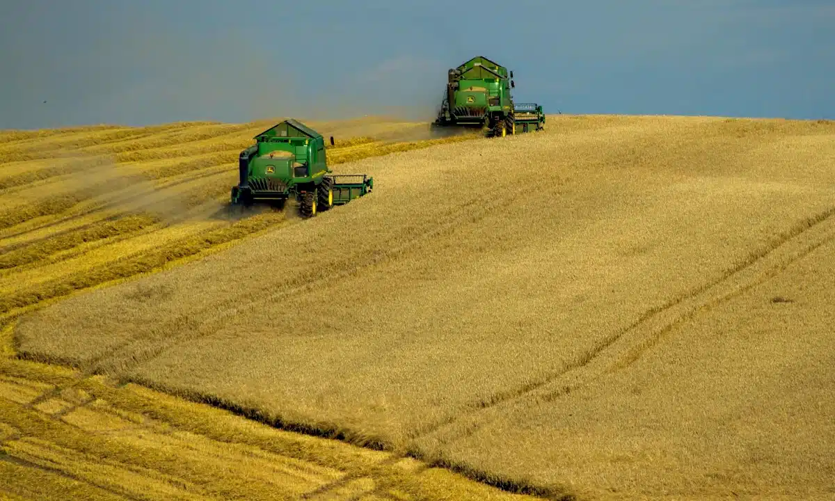 Аграрії Рівненщини зібрали 38% ранніх зернових культур Аграрії Рівненщини зібрали 38% ранніх зернових культур