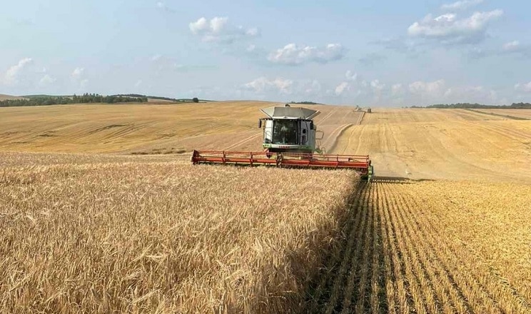 Аграрії Рівненщини зібрали понад 790 тисяч тонн ранніх зернових