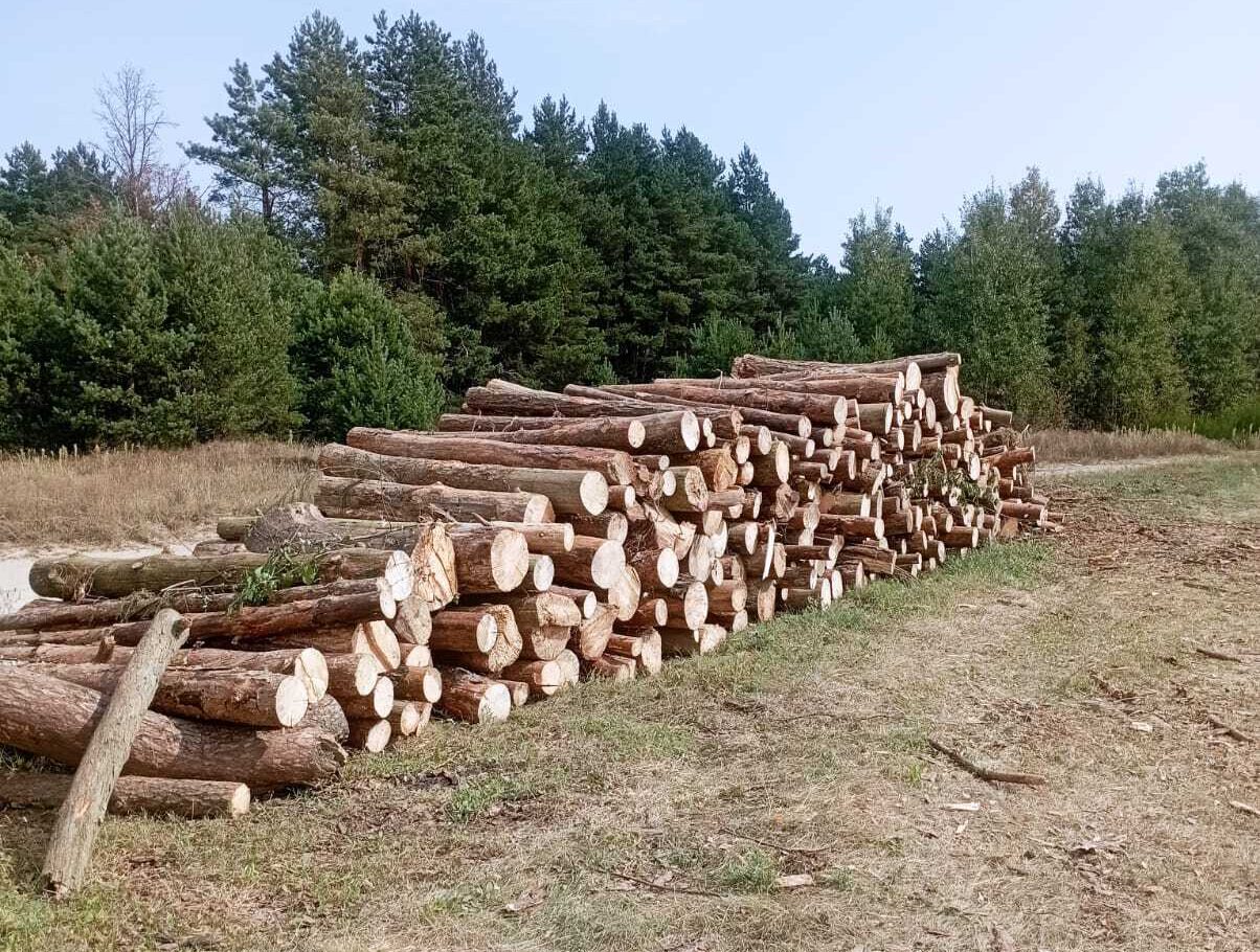 Інспектори зафіксували складування лісопродукції без підтверджених документів