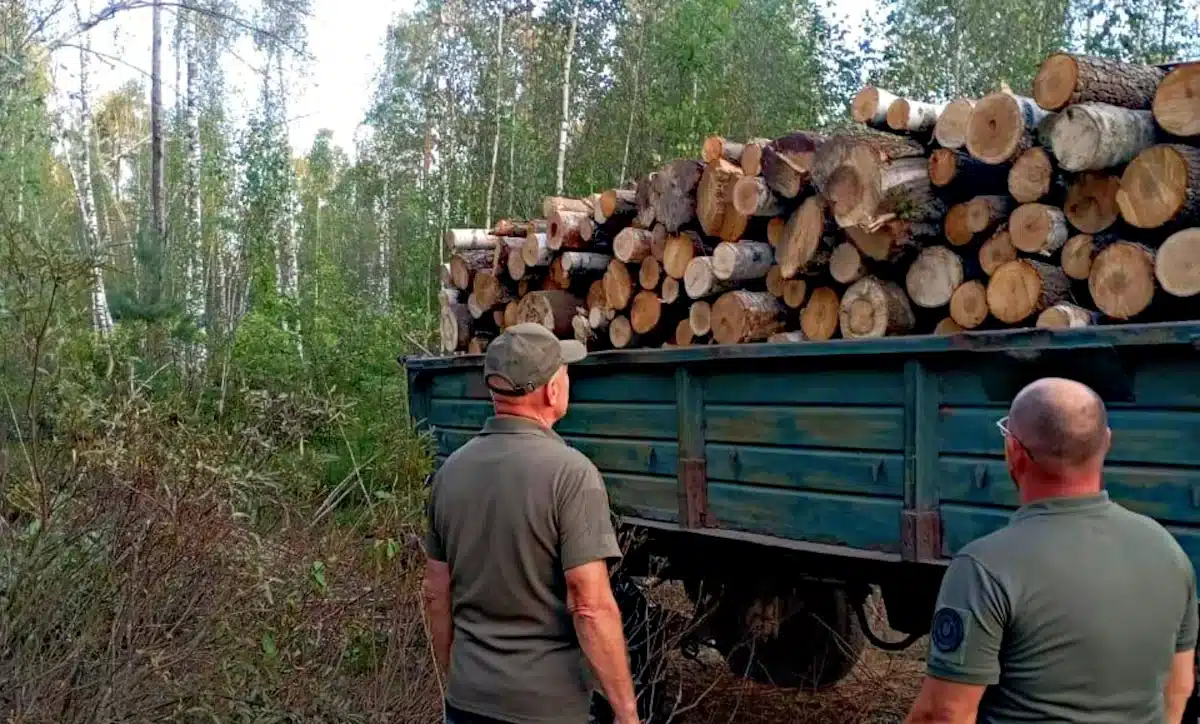 На Рівненщині екоінспектори зафіксували порушення під час перевезення лісопродукції