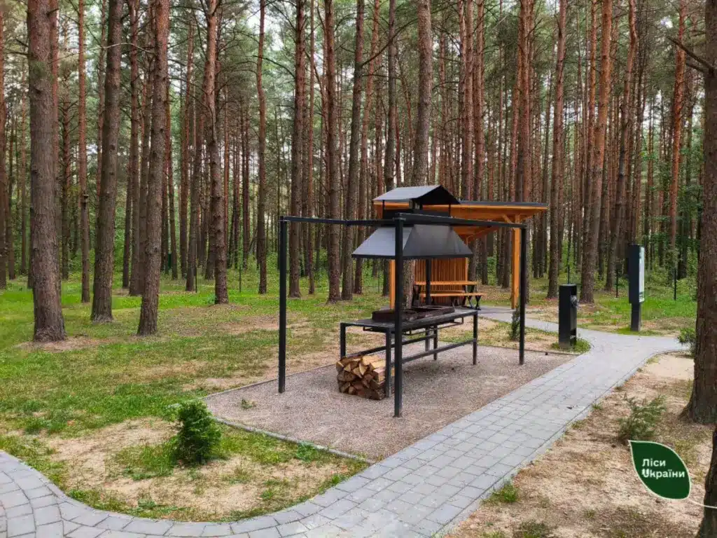 rekreacijni-punkty-dp-lisy-ukrajiny-05