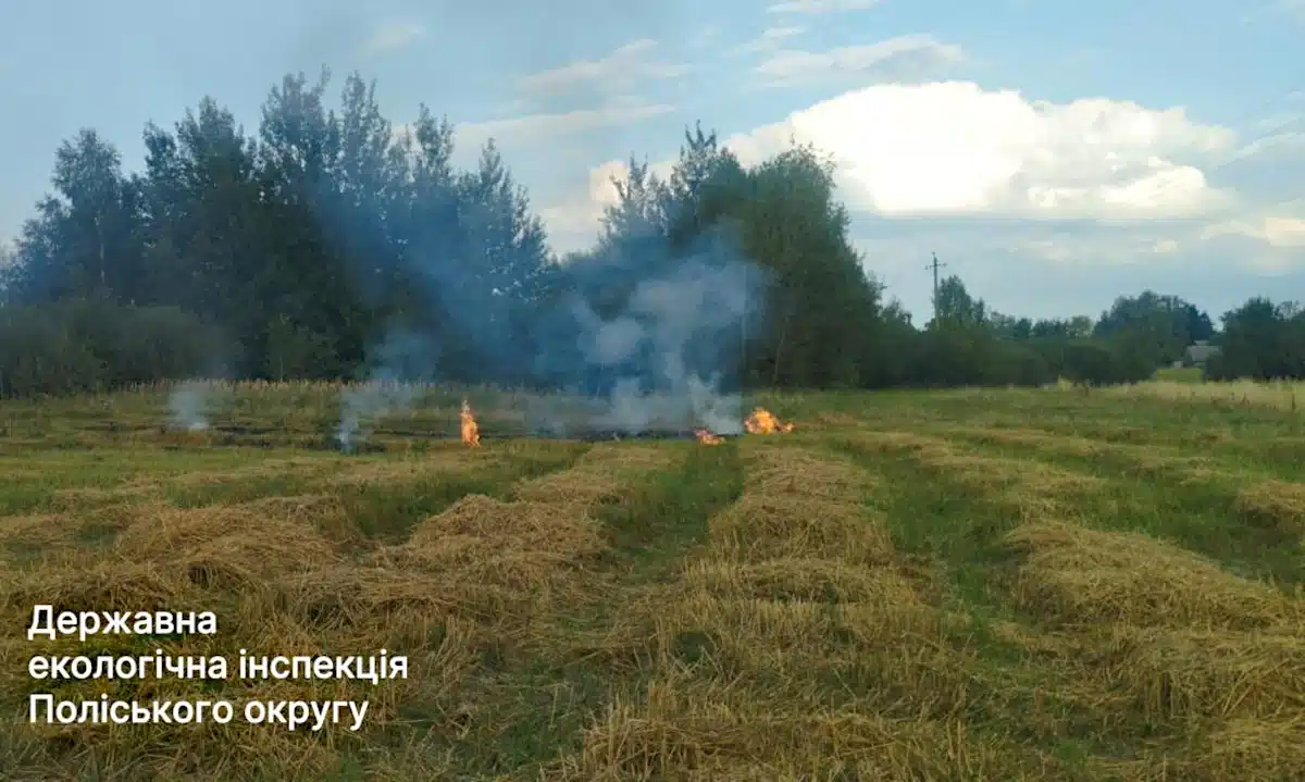 В Острозькій громаді оштрафували порушника за спалювання сухої рослинності