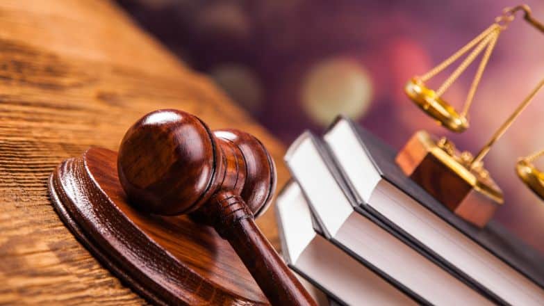 Суд зобов’язав Антонівську сільраду встановити межі парку «Антонівка» та внести їх до кадастру