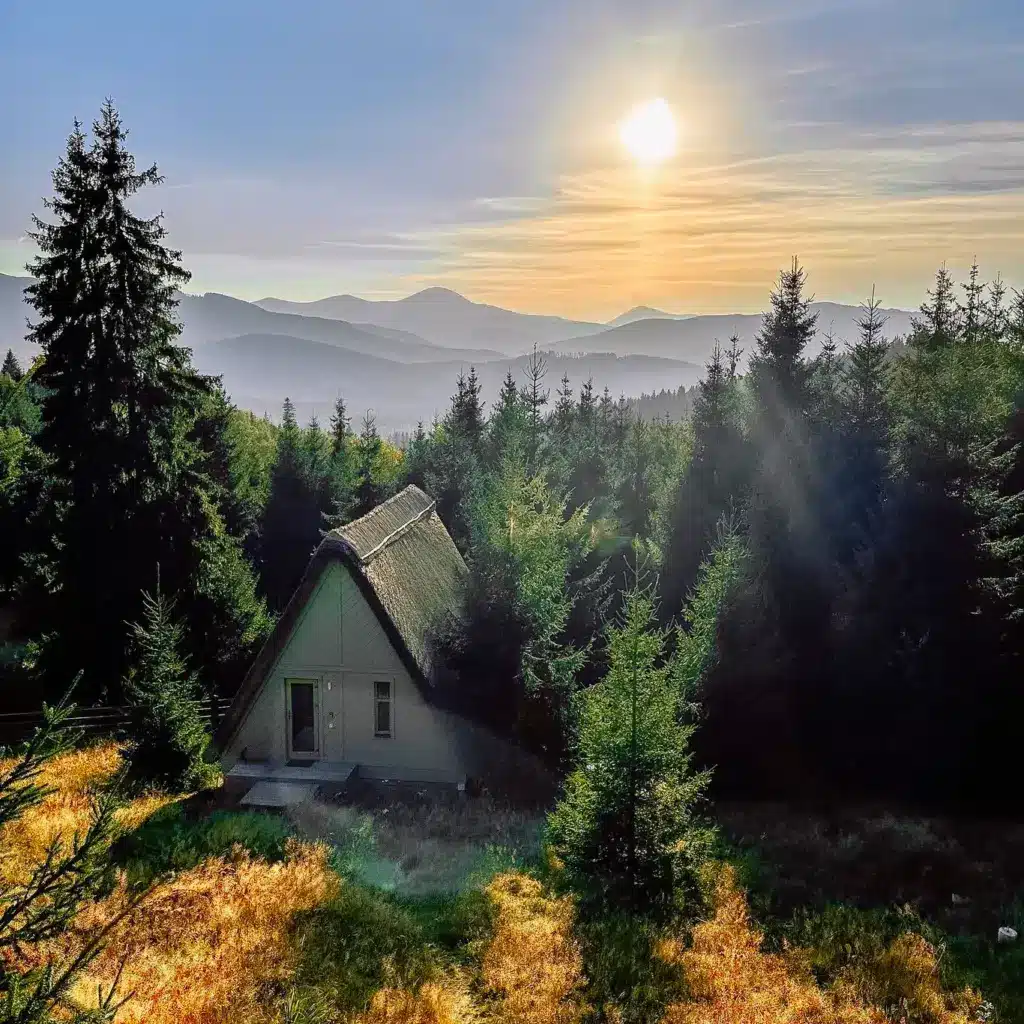 vidpochynok-u-karpatakh-07