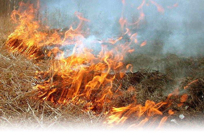 За добу в області загасили шість пожеж на відкритих територіях