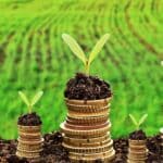 агропідприємства Рівненщини отримали 1,3 млрд грн кредитів за програмою 5-7-9