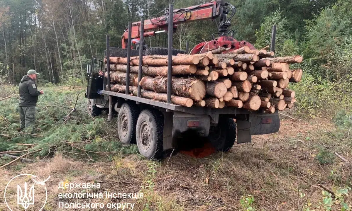 Екологи у Рівненському районі виявили деревину без маркування та документів