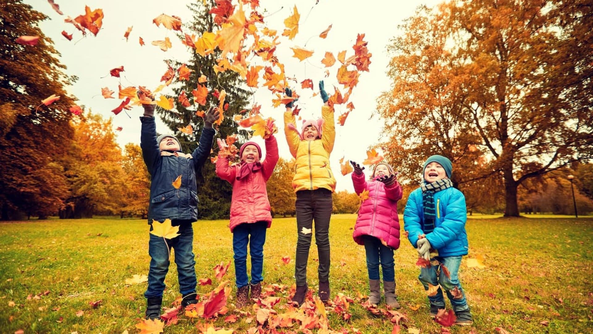 Осінні канікули на Рівненщині: більшість учнів ідуть на відпочинок з 27 жовтня