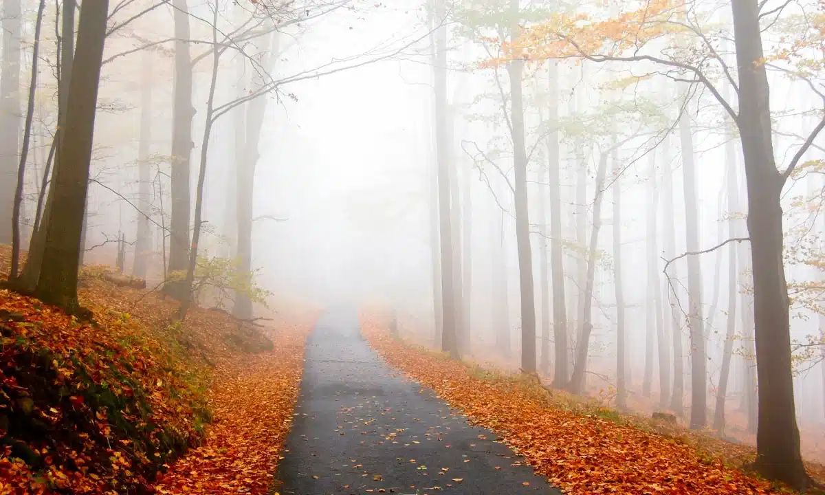 Прогноз погоди для Рівненщини на 22 жовтня. Без опадів, на поверхні ґрунту заморозки