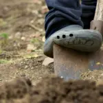 Чи варто восени перекопувати город: поради досвідчених городників