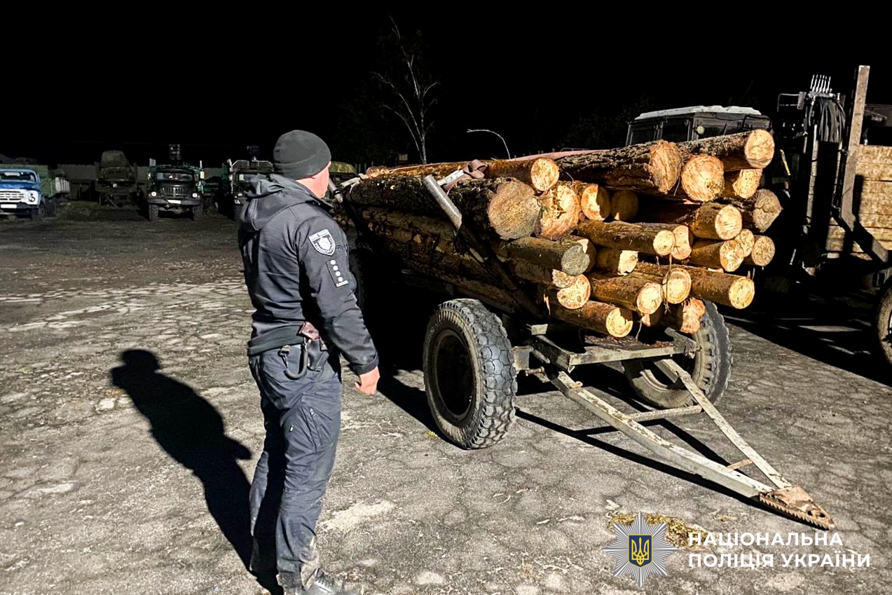 На Рівненщині поліція задокументувала чотири випадки незаконної порубки деревини