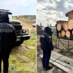 Два факти незаконної порубки лісу виявили правоохоронці на Рівненщині. Поліцейський інспектує зупинений ЗіЛ з деревиною.
