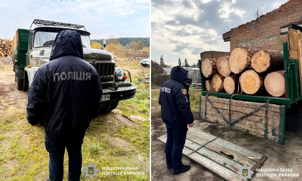 Два факти незаконної порубки лісу виявили правоохоронці на Рівненщині. Поліцейський інспектує зупинений ЗіЛ з деревиною.