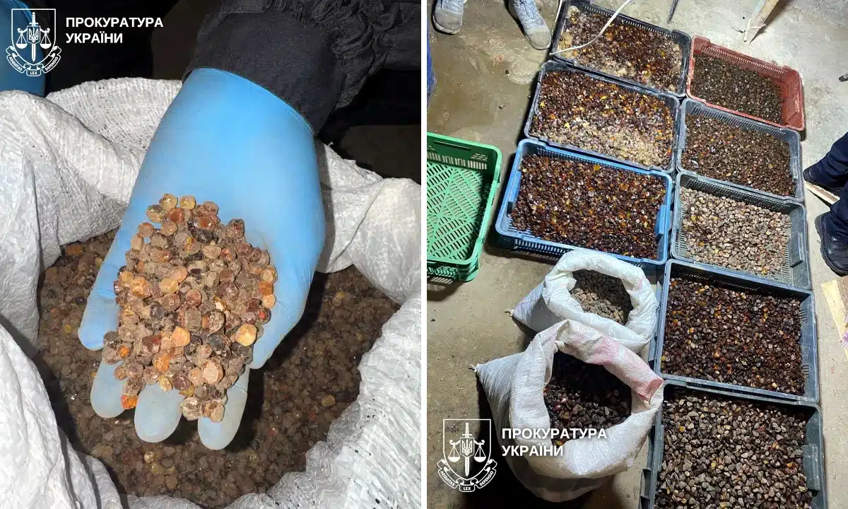 Бурштин, виявлений у чоловіків, які організували незаконний бурштиновий бізнес.