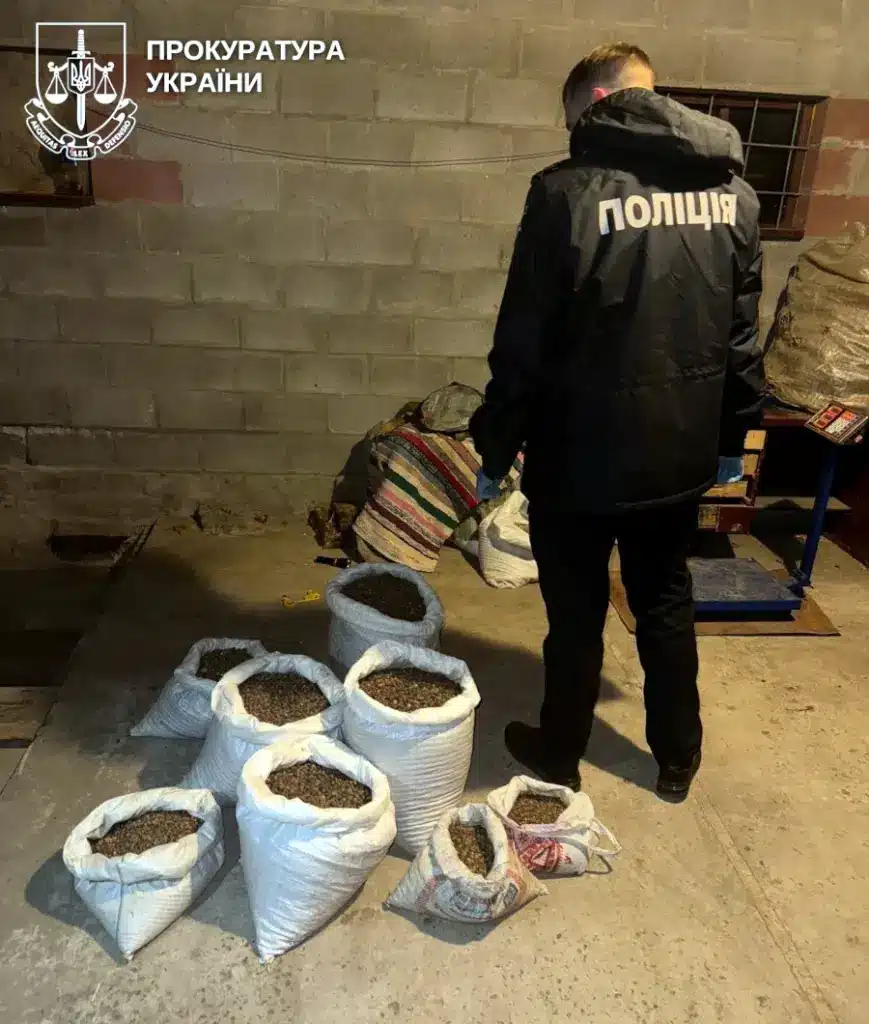 Обшук незаконного бурштинового бізнесу.