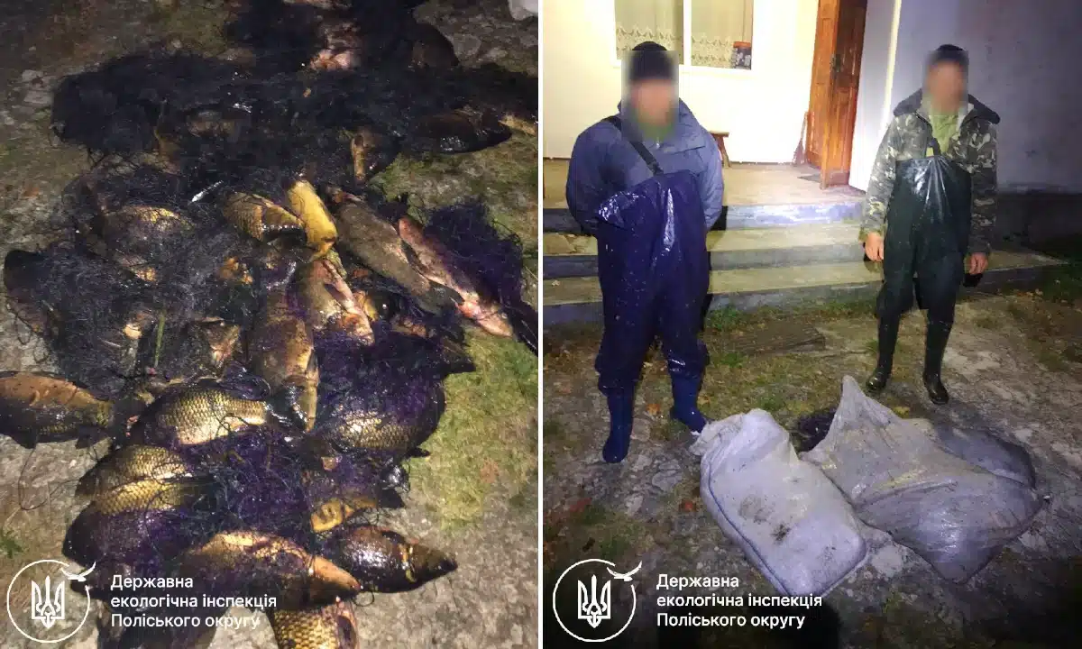 Браконьєрів, які незаконно виловили майже 90 кг риби, викрили на Рівненщині