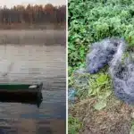 На Рівненщині екологічні інспектори виявили факти порушення правил рибальства