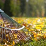 Золота користь осені: як перетворити листя на добриво