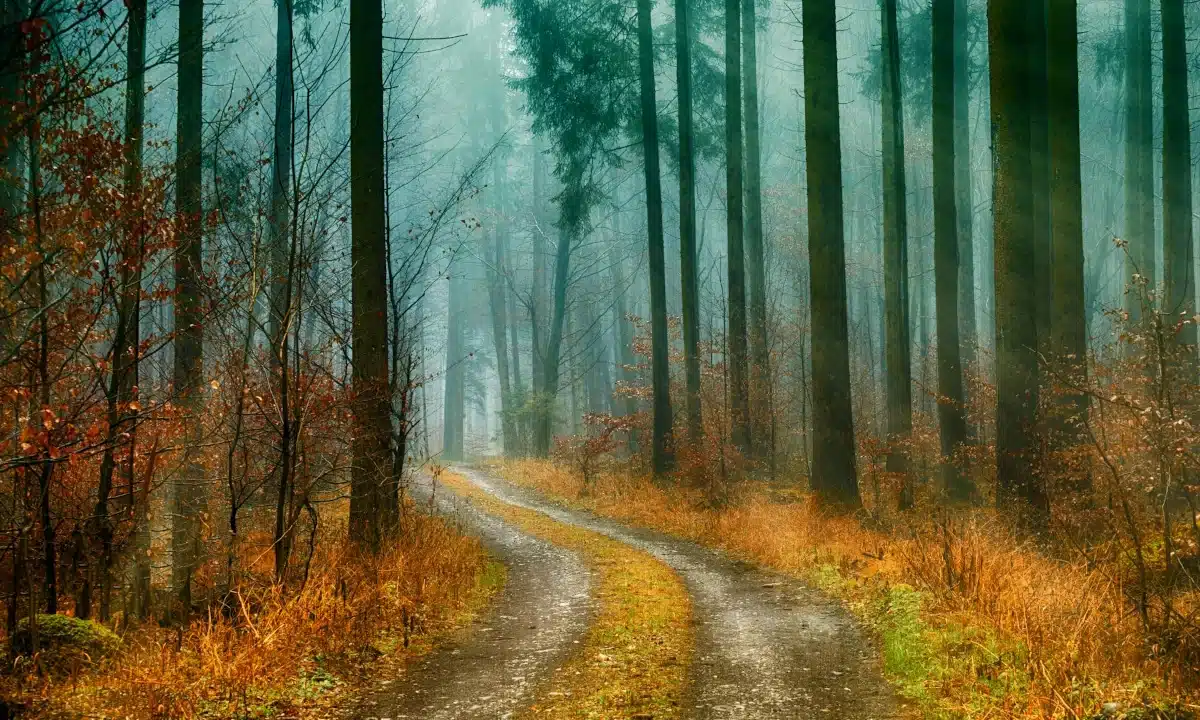 Прогноз погоди для Рівненщини на 31 жовтня. Вночі короткочасний дощ, вдень без опадів Прогноз погоди для Рівненщини на 31 жовтня. Вночі короткочасний дощ, вдень без опадів