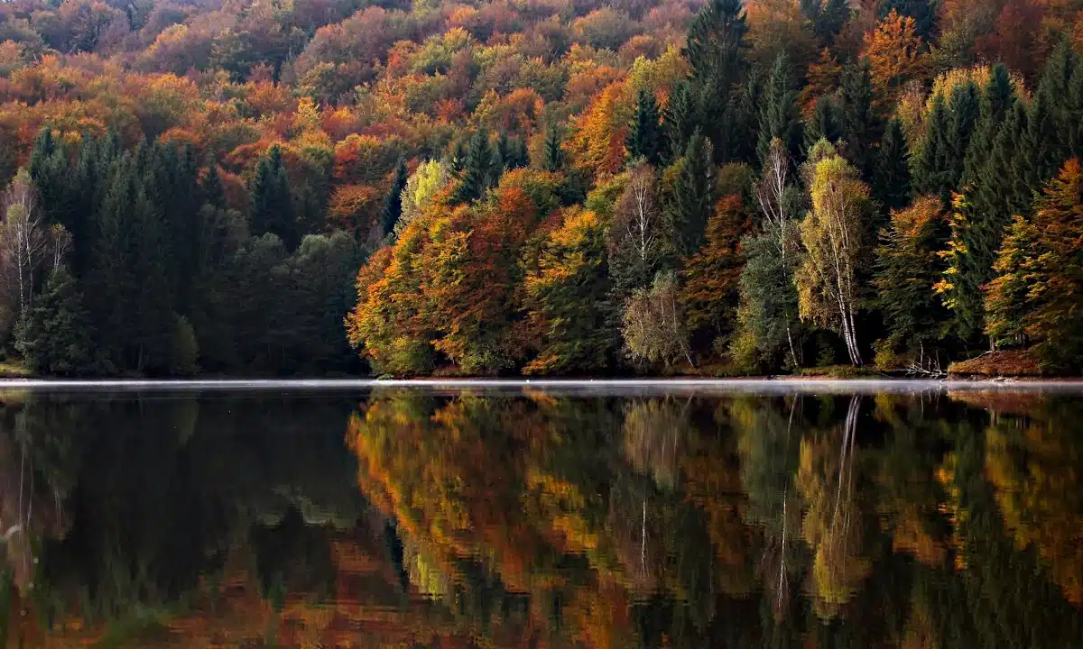 Прогноз погоди для Рівненщини на 20 жовтня. Без опадів, вночі в повітрі заморозки Прогноз погоди для Рівненщини на 20 жовтня. Без опадів, вночі в повітрі заморозки