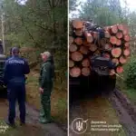 Незаконне перевезення деревини виявили у Вараському районі