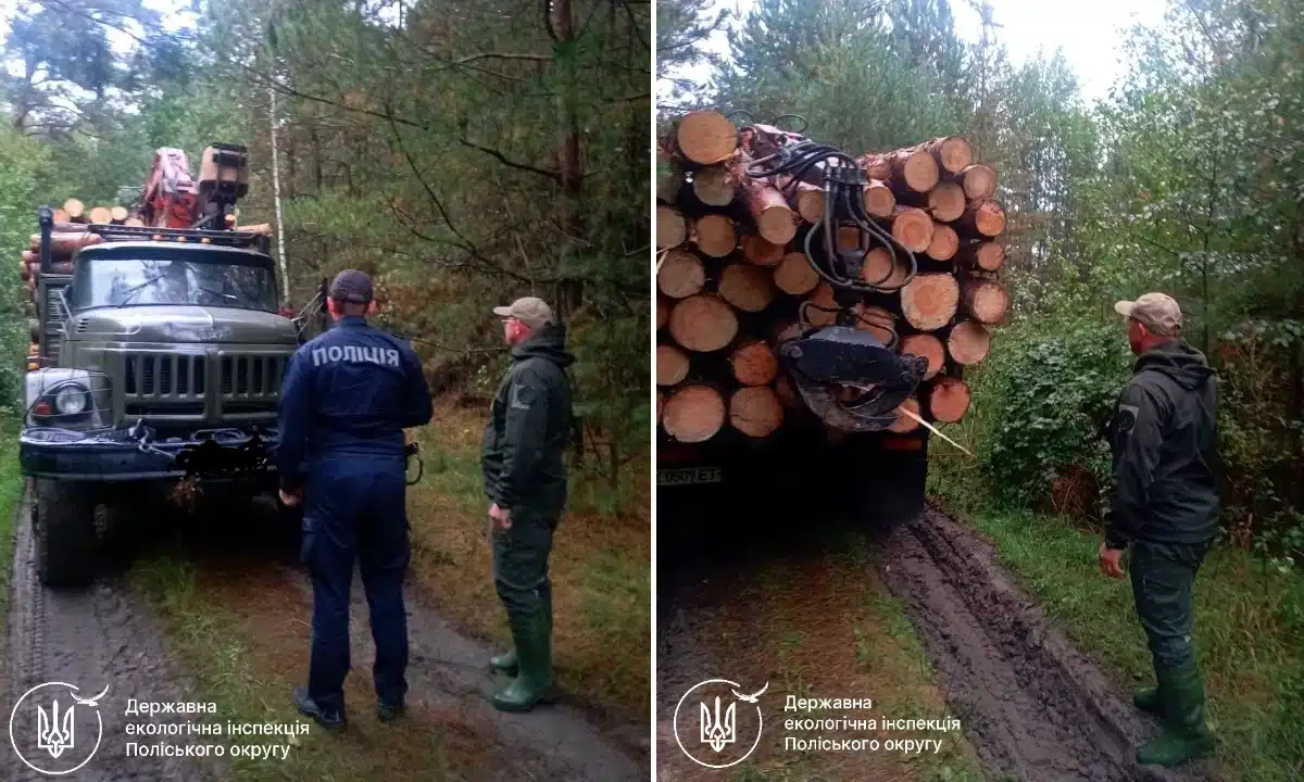 Незаконне перевезення деревини виявили у Вараському районі
