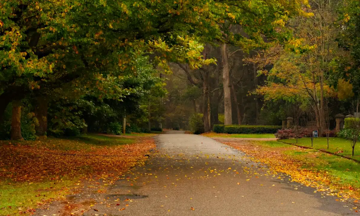 Прогноз погоди для Рівненщини на 28 жовтня. Часом невеликий дощ, сильні пориви вітру
