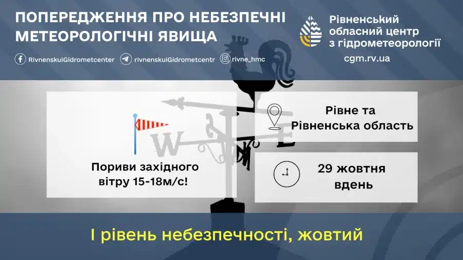 Прогноз погоди: на Рівненщині передбачаються сильні пориви вітру. Оголошено I рівень небезпеки.