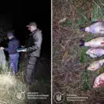 П’ять карасів коштували майже 8 тисяч гривень. На Рівненщині викрили браконьєра