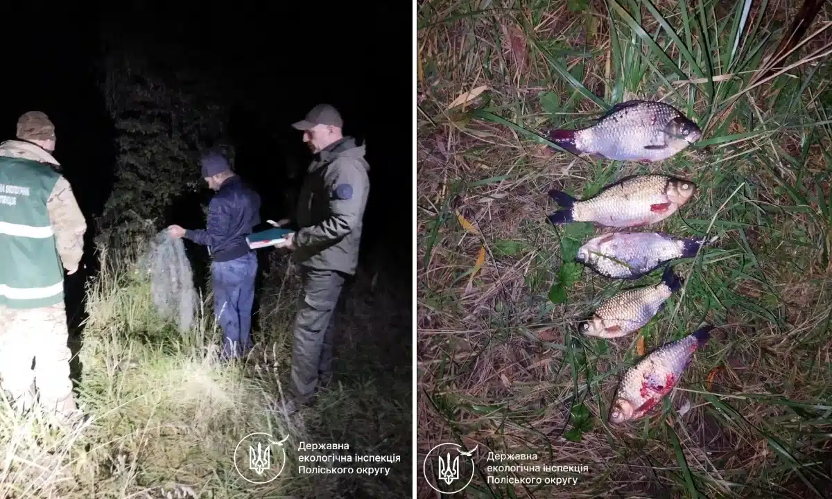 П’ять карасів коштували майже 8 тисяч гривень. На Рівненщині викрили браконьєра