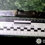 Сарненські поліцейські затримали чоловіка, який завдав знайомому 15 ударів ножем