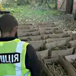 На Рівненщині викрили склад із 200 кг канабісу на 7,5 мільйона гривень (ВІДЕО)