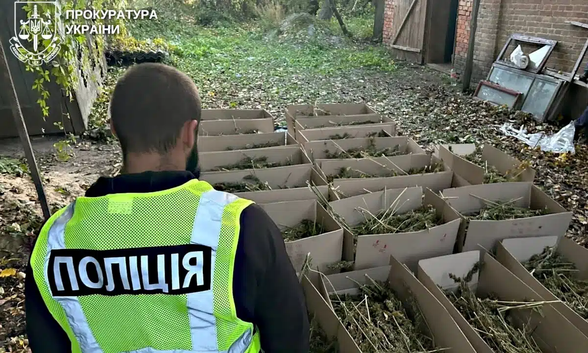 На Рівненщині викрили склад із 200 кг канабісу на 7,5 мільйона гривень (ВІДЕО)