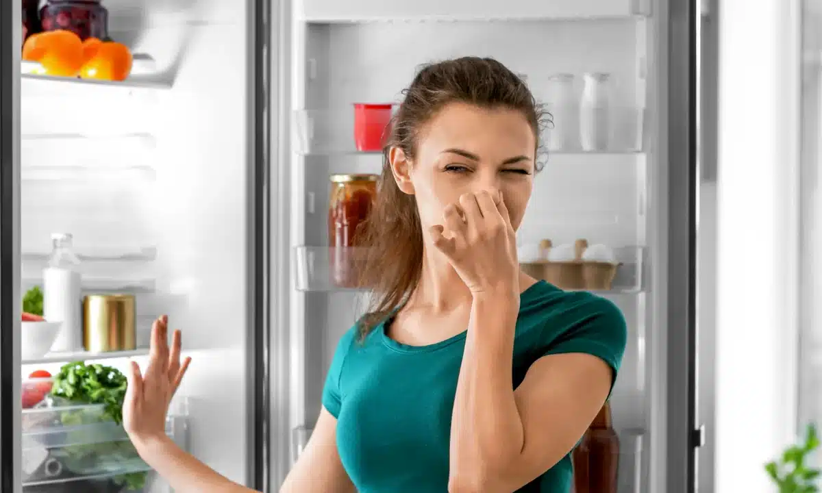Як зберегти продукти під час відключення світла: поради, щоб уникнути псування та отруєнь